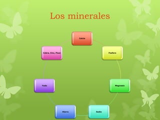 Los minerales
Calcio
Fosforo
Magnesio
SodioHierro
Yodo
Cobre, Cinc, Fluor
 