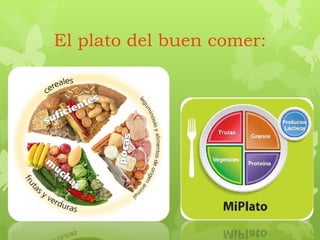 El plato del buen comer:
 