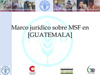 Marco jurídico sobre MSF en
[GUATEMALA]
 