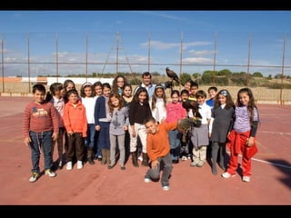 Presentación águilas