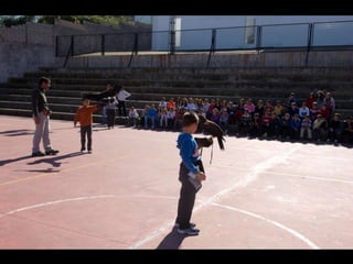 Presentación águilas