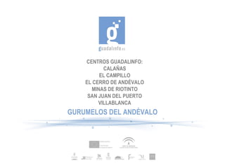 CENTROS GUADALINFO:
           CALAÑAS
         EL CAMPILLO
    EL CERRO DE ANDÉVALO
      MINAS DE RIOTINTO
     SAN JUAN DEL PUERTO
         VILLABLANCA
GURUMELOS DEL ANDÉVALO
 