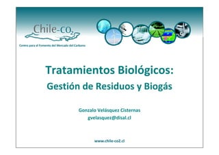 Tratamientos Biológicos:
Gestión de Residuos y Biogás

       Gonzalo Velásquez Cisternas
                    q
          gvelasquez@disal.cl 
 