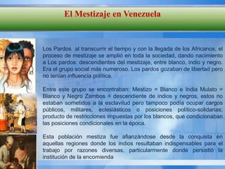 El Mestizaje en Venezuela


Los Pardos al transcurrir el tiempo y con la llegada de los Africanos, el
proceso de mestizaje se amplió en toda la sociedad, dando nacimiento
a Los pardos: descendientes del mestizaje, entre blanco, indio y negro.
Era el grupo social más numeroso. Los pardos gozaban de libertad pero
no tenían influencia política.

Entre este grupo se encontraban: Mestizo = Blanco e India Mulato =
Blanco y Negro Zambos = descendiente de indios y negros, estos no
estaban sometidos a la esclavitud pero tampoco podía ocupar cargos
públicos, militares, eclesiásticos o posiciones político-solidarias;
producto de restricciones impuestas por los blancos, que condicionaban
las posiciones condicionales en la época.

Esta población mestiza fue afianzándose desde la conquista en
aquellas regiones donde los indios resultaban indispensables para el
trabajo por razones diversas, particularmente donde persistió la
institución de la encomienda
 