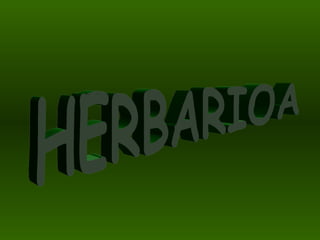 HERBARIOA 