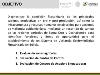 OBJETIVOOBJETIVO
1. Evaluación zonas agrícolas
Diagnosticar la condición fitosanitaria de las principales
cadenas productivas en pre y post-producción, así como la
infraestructura y recursos humanos establecidos para acciones
de vigilancia epidemiológica mediante un recorrido de campo
de las regiones agrícolas de Santa Cruz y Cochabamba para
identificar fortalezas y áreas de oportunidad para el
establecimiento de un Sistema de Vigilancia Epidemiológica
Fitosanitaria en Bolivia.
2. Evaluación de Puntos de Control
3. Evaluación de Centros de Acopio y Empacadoras
 