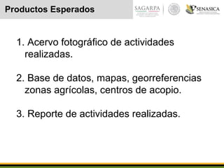 Productos Esperados
1. Acervo fotográfico de actividades
realizadas.
2. Base de datos, mapas, georreferencias
zonas agrícolas, centros de acopio.
3. Reporte de actividades realizadas.
 