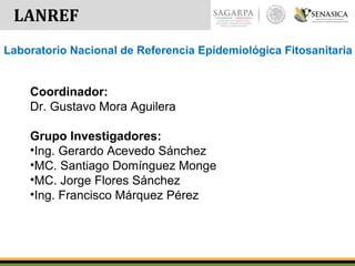 LANREF
Coordinador:
Dr. Gustavo Mora Aguilera
Grupo Investigadores:
•Ing. Gerardo Acevedo Sánchez
•MC. Santiago Domínguez Monge
•MC. Jorge Flores Sánchez
•Ing. Francisco Márquez Pérez
Laboratorio Nacional de Referencia Epidemiológica Fitosanitaria
 