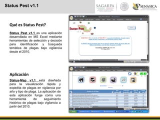Status Pest v1.1
Qué es Status Pest?
Status Pest v1.1 es una aplicación
desarrollada en MS Excel mediante
herramientas de selección y decisión
para identificación y búsqueda
temática de plagas bajo vigilancia
desde el 2010.
Aplicación
Status-Map v1.1 está diseñada
para la visualización rápida y
expedita de plagas en vigilancia por
año y tipo de plaga. La aplicación de
esta aplicación funge como una
herramienta de seguimiento
histórico de plagas bajo vigilancia a
partir del 2010.
 