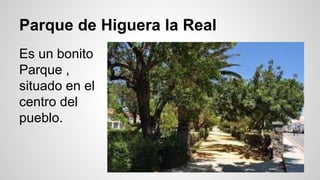 Parque de Higuera la Real 
Es un bonito 
Parque , 
situado en el 
centro del 
pueblo. 
 