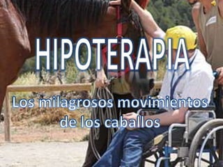 HIPOTERAPIA Los milagrosos movimientos de los caballos 