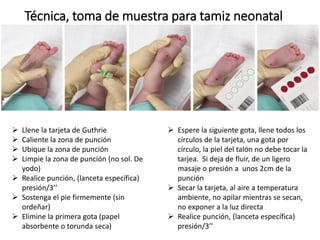 Técnica, toma de muestra para tamiz neonatal
 Llene la tarjeta de Guthrie
 Caliente la zona de punción
 Ubique la zona de punción
 Limpie la zona de punción (no sol. De
yodo)
 Realice punción, (lanceta específica)
presión/3’’
 Sostenga el pie firmemente (sin
ordeñar)
 Elimine la primera gota (papel
absorbente o torunda seca)
 Espere la siguiente gota, llene todos los
círculos de la tarjeta, una gota por
círculo, la piel del talón no debe tocar la
tarjea. Si deja de fluir, de un ligero
masaje o presión a unos 2cm de la
punción
 Secar la tarjeta, al aire a temperatura
ambiente, no apilar mientras se secan,
no exponer a la luz directa
 Realice punción, (lanceta específica)
presión/3’’
 