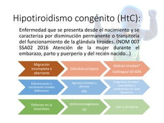 Hipotiroidismo congénito (HtC):
Enfermedad que se presenta desde el nacimiento y se
caracteriza por disminución permanente o transitoria
del funcionamiento de la glándula tiroides. (NOM 007
SSA02 2016 Atención de la mujer durante el
embarazo, parto y puerperio y del recién nacido…)
Migración
incompleta o
aberrante
Glándula ectópica
Nódulo tiroideo*
Sublingual 50-60%
Diferenciación o
crecimiento tiroideo
defectuoso
Agenesia tiroidea o
atiriosis
40%
Disgenesia tiroidea*,
esporádicas y
predominan en sexo
femenino
Defectos en la
biosíntesis
Dishormonogénesis
5%
Con o sin bocio
 
