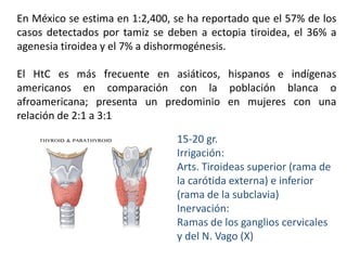 En México se estima en 1:2,400, se ha reportado que el 57% de los
casos detectados por tamiz se deben a ectopia tiroidea, el 36% a
agenesia tiroidea y el 7% a dishormogénesis.
El HtC es más frecuente en asiáticos, hispanos e indígenas
americanos en comparación con la población blanca o
afroamericana; presenta un predominio en mujeres con una
relación de 2:1 a 3:1
15-20 gr.
Irrigación:
Arts. Tiroideas superior (rama de
la carótida externa) e inferior
(rama de la subclavia)
Inervación:
Ramas de los ganglios cervicales
y del N. Vago (X)
 