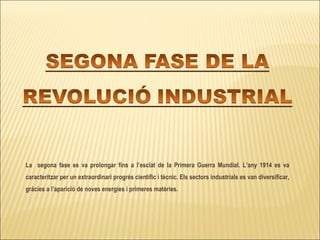 La  segona fase es va prolongar fins a l’esclat de la Primera Guerra Mundial. L’any 1914 es va caracteritzar per un extraordinari progrés científic i tècnic. Els sectors industrials es van diversificar, gràcies a l’aparició de noves energies i primeres matèries. 