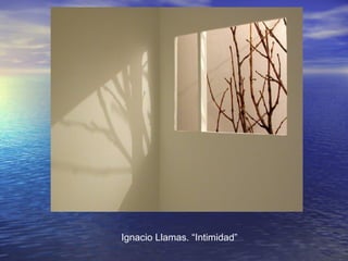 Ignacio Llamas. “Intimidad”
 
