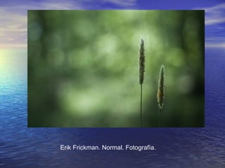 Erik Frickman. Normal. Fotografía.
 