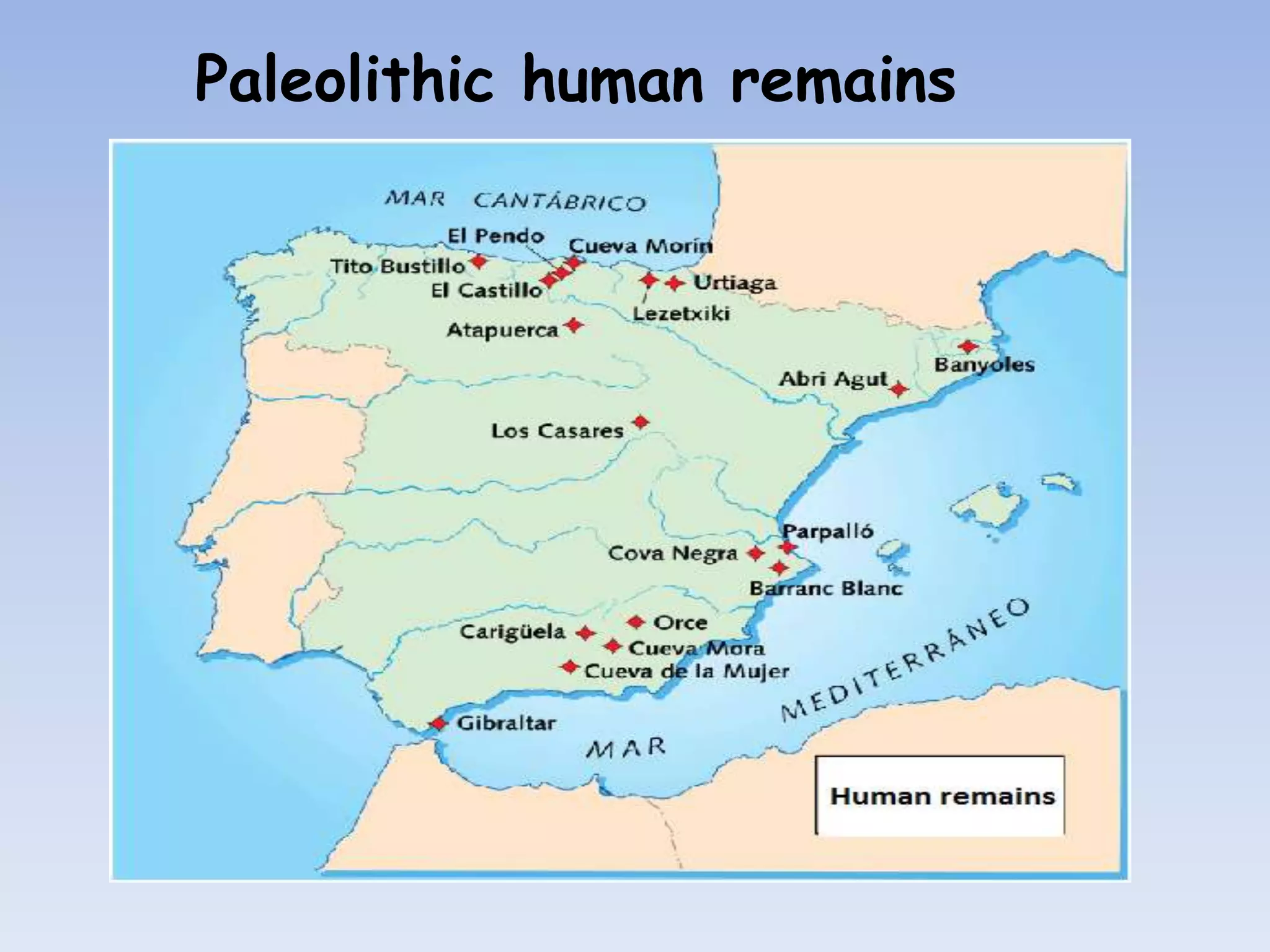 Paleolithic human remains
 