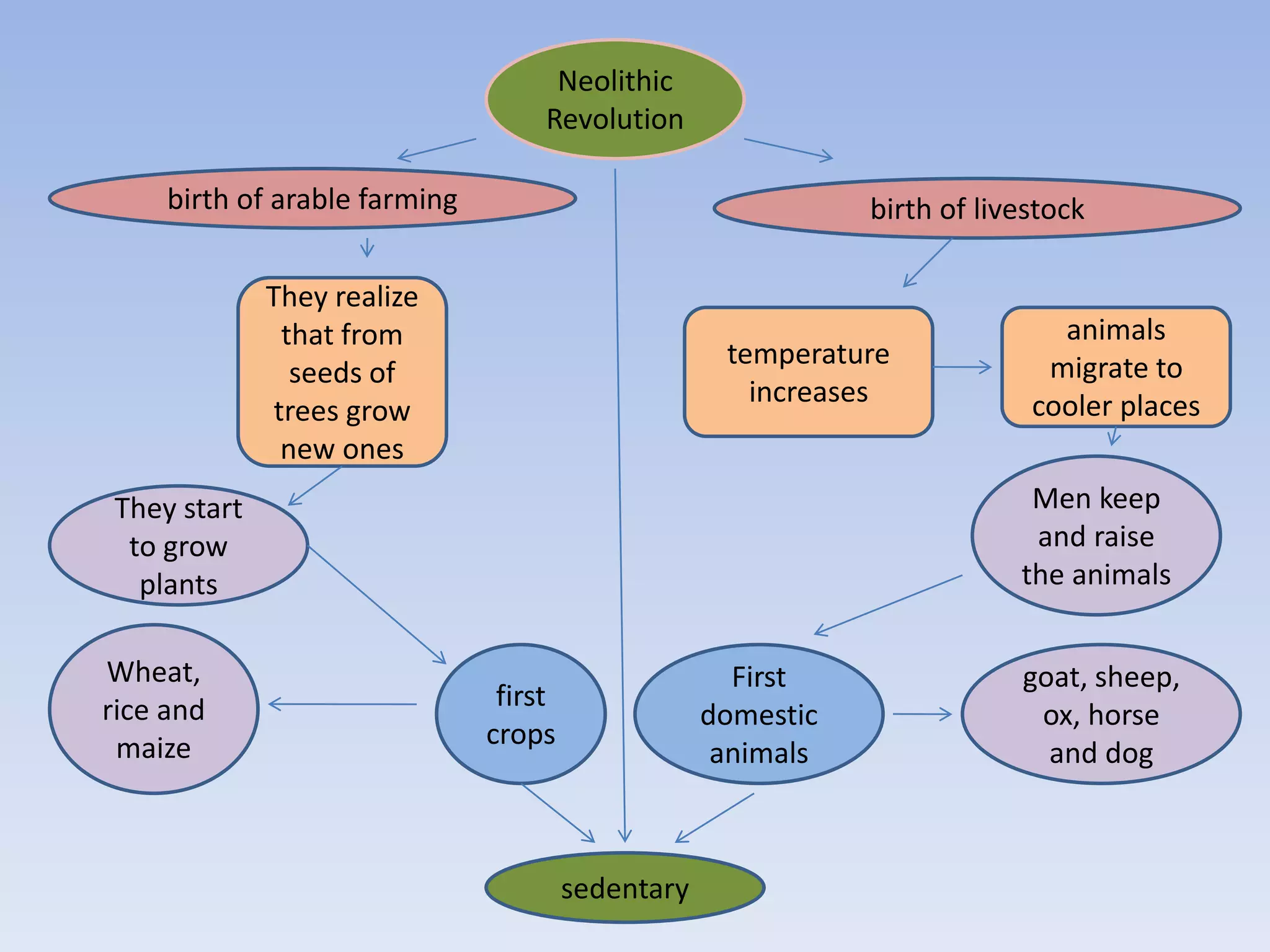 Neolithic
                                    Revolution

     birth of arable farming                                   birth of livestock

             They realize
               that from                                                      animals
                                                     temperature             migrate to
                seeds of
                                                       increases            cooler places
              trees grow
               new ones
They start                                                                  Men keep
 to grow                                                                    and raise
  plants                                                                   the animals


Wheat,                                                First                goat, sheep,
rice and                        first
                                                    domestic                ox, horse
 maize                         crops
                                                     animals                 and dog



                                        sedentary
 