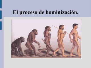 El proceso de hominización. 