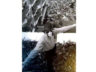 Michael-Hotel Botánico