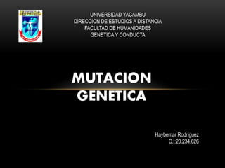 UNIVERSIDAD YACAMBU
DIRECCION DE ESTUDIOS A DISTANCIA
FACULTAD DE HUMANIDADES
GENETICA Y CONDUCTA
MUTACION
GENETICA
Haybemar Rodríguez
C.I:20.234.626
 