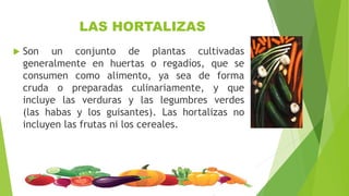 LAS HORTALIZAS
 Son un conjunto de plantas cultivadas
generalmente en huertas o regadíos, que se
consumen como alimento, ya sea de forma
cruda o preparadas culinariamente, y que
incluye las verduras y las legumbres verdes
(las habas y los guisantes). Las hortalizas no
incluyen las frutas ni los cereales.
 