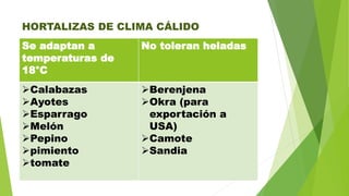 HORTALIZAS DE CLIMA CÁLIDO
Se adaptan a
temperaturas de
18°C
No toleran heladas
Calabazas
Ayotes
Esparrago
Melón
Pepino
pimiento
tomate
Berenjena
Okra (para
exportación a
USA)
Camote
Sandia
 