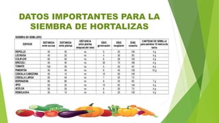DATOS IMPORTANTES PARA LA
SIEMBRA DE HORTALIZAS
 