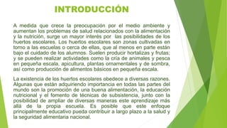 INTRODUCCIÓN
A medida que crece la preocupación por el medio ambiente y
aumentan los problemas de salud relacionados con la alimentación
y la nutrición, surge un mayor interés por las posibilidades de los
huertos escolares. Los huertos escolares son zonas cultivadas en
torno a las escuelas o cerca de ellas, que al menos en parte están
bajo el cuidado de los alumnos. Suelen producir hortalizas y frutas;
y se pueden realizar actividades como la cría de animales y pesca
en pequeña escala, apicultura, plantas ornamentales y de sombra,
así como producción de alimentos básicos en pequeña escala.
La existencia de los huertos escolares obedece a diversas razones.
Algunas que están adquiriendo importancia en todas las partes del
mundo son la promoción de una buena alimentación, la educación
nutricional y el fomento de técnicas de subsistencia, junto con la
posibilidad de ampliar de diversas maneras este aprendizaje más
allá de la propia escuela. Es posible que este enfoque
principalmente educativo pueda contribuir a largo plazo a la salud y
la seguridad alimentaria nacional.
 