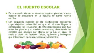 EL HUERTO ESCOLAR
 Es un espacio donde se siembran algunas plantas, si este
espacio se encuentra en la escuela se llama huerto
escolar.
 Son pequeños espacios de las instituciones educativas
cuyo objetivo primordial es que el alumno llegue a
comprender las relaciones de interdependencia que hay
entre las plantas y su medio circundante; observando los
cambios que ocurren por efecto de la luz, el agua, el
suelo y todos los factores físicos, químicos y biológicos
que intervienen en su crecimiento y desarrollo.
 