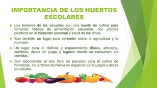 IMPORTANCIA DE LOS HUERTOS
ESCOLARES
 Los terrenos de las escuelas son una fuente de cultivo para
fomentar hábitos de alimentación saludable, con efectos
positivos en el bienestar personal y salud de los niños.
 Son también un lugar para aprender sobre la agricultura y la
nutrición.
 Un lugar para el disfrute y esparcimiento (flores, arbustos,
sombras, áreas de juego y lugares donde se consumen las
comidas.
 Son laboratorios al aire libre en parcelas para el cultivo de
hortalizas, en jardines de hierva en espacios para juegos y áreas
de estudio.
 