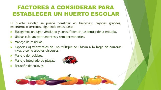 Presentación huerto escolar