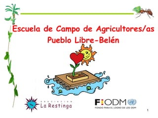 Escuela de Campo de Agricultores/as
         Pueblo Libre-Belén




                                 1
 