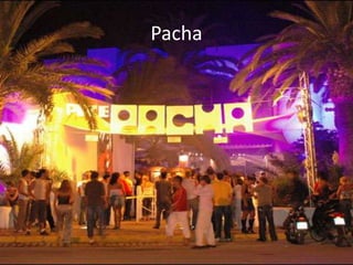 Pacha