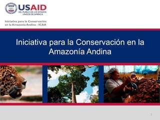 Iniciativa para la Conservación en la
Amazonía Andina
1
 