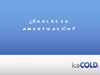 ¿Cual es su amortización? 