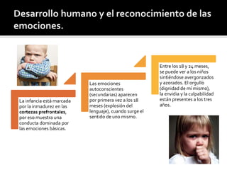 La infancia está marcada
por la inmadurez en las
cortezas prefrontales,
por eso muestra una
conducta dominada por
las emociones básicas.
Las emociones
autoconscientes
(secundarias) aparecen
por primera vez a los 18
meses (explosión del
lenguaje), cuando surge el
sentido de uno mismo.
Entre los 18 y 24 meses,
se puede ver a los niños
sintiéndose avergonzados
y azorados. El orgullo
(dignidad de mí mismo),
la envidia y la culpabilidad
están presentes a los tres
años.
 