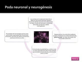 Los cambios en la maduración del niño se
deben al crecimiento neuronal. Desde la
formación del feto hacia los cinco años existen
un mayor número de neuronas y conexiones
entre ellas que las de un adulto
(neurogénesis).
Después de los cinco años hacia adelante
sucede un fenómeno en el desarrollo llamado,
poda neuronal. Las redes neuronales más
funcionales sobreviven.
En la entrada a la pubertad (10-12 años) se da
un nuevo agrandamiento de la masa cerebral
que concluye en el periodo de juventud antes
de los 22 años.
Por estudios de neuroimagen que las zonas
prefrontales responsables del control de las
emociones, terminan de madurar al final de la
juventud, entre los 22 años.
Nota 9
 