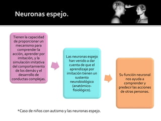 Tienen la capacidad
de proporcionar un
mecanismo para
comprender la
acción, aprender por
imitación, y la
simulación imitativa
del comportamiento
de los demás y el
desarrollo de
conductas complejas.
Las neuronas espejo
han venido a dar
cuenta de que el
aprendizaje por
imitación tienen un
sustento
neurobiológico
(anatómico-
fisiológico).
Su función neuronal
nos ayuda a
comprender y
predecir las acciones
de otras personas.
*Caso de niños con autismo y las neuronas espejo.
 