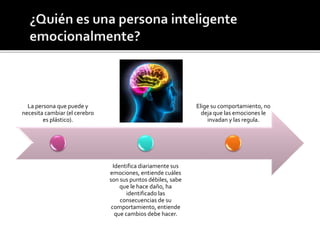 La persona que puede y
necesita cambiar (el cerebro
es plástico).
Identifica diariamente sus
emociones, entiende cuáles
son sus puntos débiles, sabe
que le hace daño, ha
identificado las
consecuencias de su
comportamiento, entiende
que cambios debe hacer.
Elige su comportamiento, no
deja que las emociones le
invadan y las regula.
 