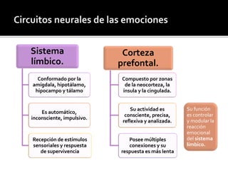 Sistema
límbico.
Conformado por la
amígdala, hipotálamo,
hipocampo y tálamo
Es automático,
inconsciente, impulsivo.
Recepción de estímulos
sensoriales y respuesta
de supervivencia
Corteza
prefontal.
Compuesto por zonas
de la neocorteza, la
ínsula y la cingulada.
Su actividad es
consciente, precisa,
reflexiva y analizada.
Posee múltiples
conexiones y su
respuesta es más lenta
Su función
es controlar
y modular la
reacción
emocional
del sistema
límbico.
 