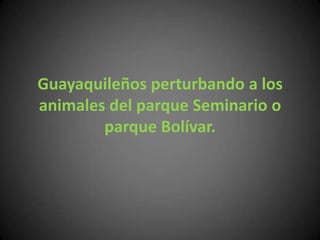 Guayaquileños perturbando a los animales del parque Seminario o parque Bolívar. 