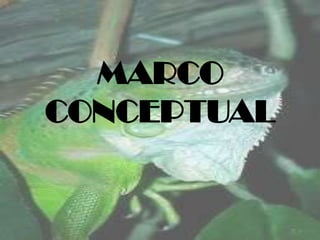 MARCO
CONCEPTUAL

 