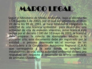 MARCO LEGAL
Según el Ministerio de Medio Ambiente, bajo el decreto No
1728 (agosto 6 de 2002), por el cual se reglamenta el título
VII de la ley 99 de 1993, se hace totalmente obligatoria la
solicitud de una licencia ambiental para desarrollar una
actividad de cría de especies silvestres, estas licencia está
regida por el decreto 1180 del 10 mayo de 2003; la licencia,
debe amparar la colecta de ejemplares adultos y la
posterior cría, este documento debe ser registrado por la
entidad o persona interesada en el montaje de un
zoocriadero a la Corporación Autónoma Regional (C.A.R)
que corresponda a la zona donde se tendrán las
instalaciones de cría, dicha autoridad ambiental dictará una
respuesta con respecto al desarrollo de la cría controlada
de animales silvestres.

 