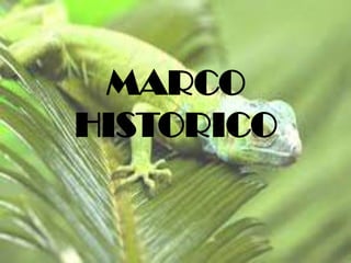 MARCO
HISTORICO

 