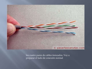 los cuatro pares de cables trenzados. Voy a
preparar el lado de conexión normal
 