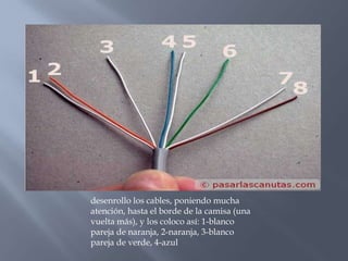 desenrollo los cables, poniendo mucha
atención, hasta el borde de la camisa (una
vuelta más), y los coloco así: 1-blanco
pareja de naranja, 2-naranja, 3-blanco
pareja de verde, 4-azul
 