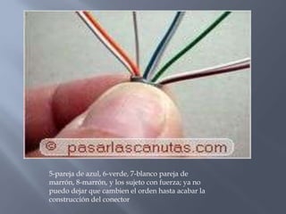 5-pareja de azul, 6-verde, 7-blanco pareja de
marrón, 8-marrón, y los sujeto con fuerza; ya no
puedo dejar que cambien el orden hasta acabar la
construcción del conector
 