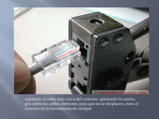 sujetando el cable muy cerca del conector, apretando la camisa
gris sobre los cables interiores, para que no se desplacen, meto el
conector en la herramienta de crimpar
 